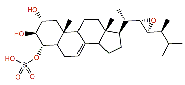 Acanthosterol sulfate G